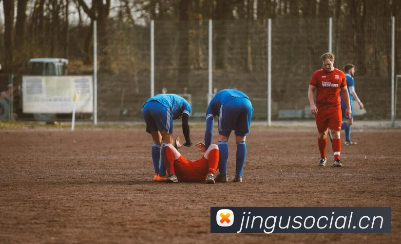 App Interface Preview